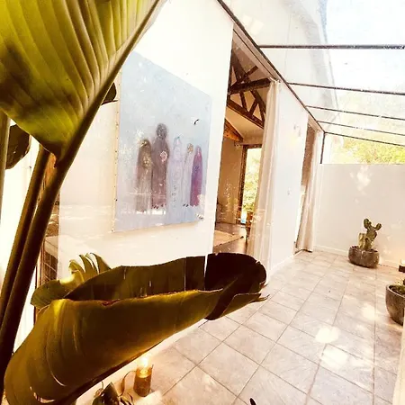 Le Patio, Jardin Privatif, Tennis Nîmes Exterior foto